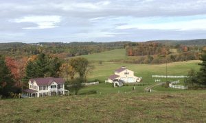 farmland 1024x616